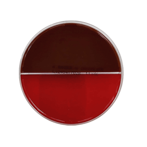 Agar-Sangue-Chocolate-1