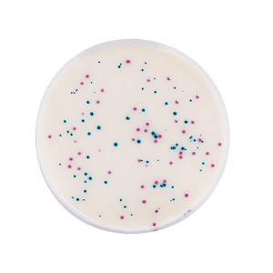 iris-salmonella