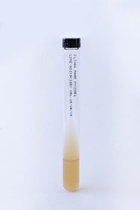 PL003044