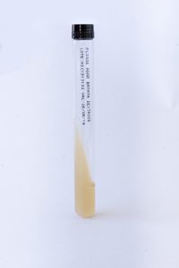 PL003046