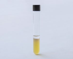 PL003060