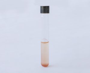 PL003080