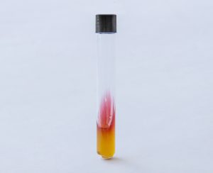 PL003110