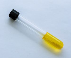 PL003119