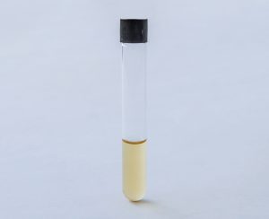 PL003160