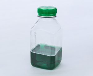 PL003177