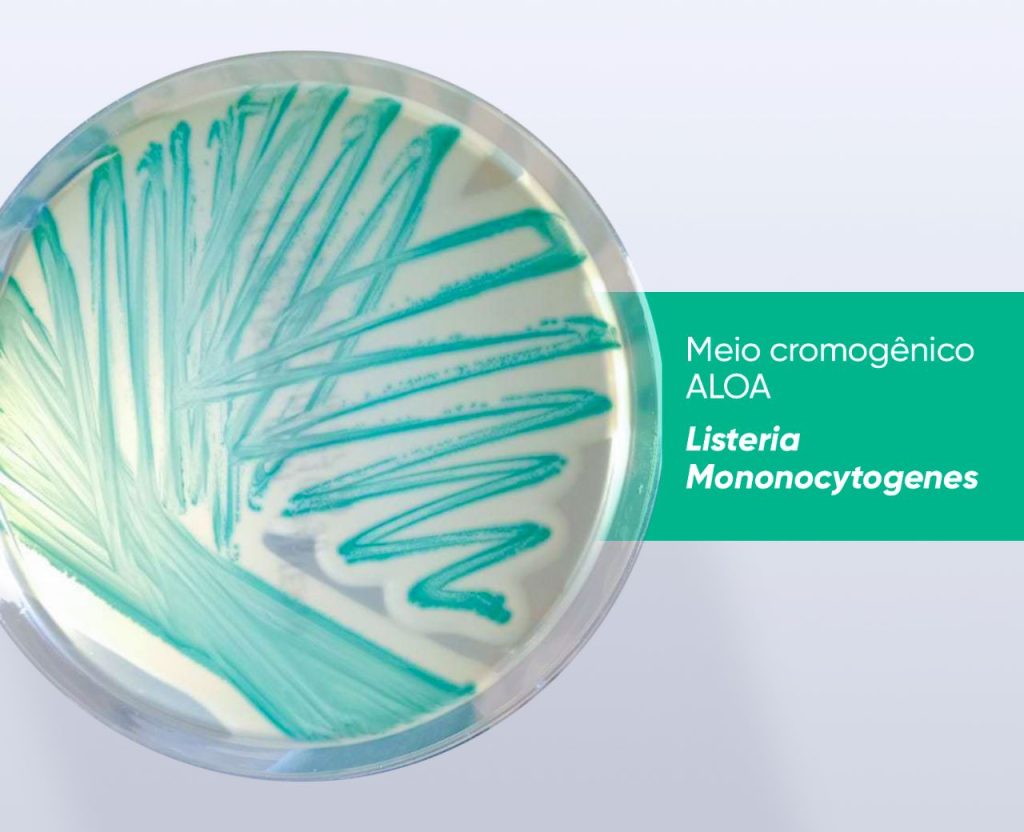 Importância da Listeria na indústria de alimentos 1 WhatsApp Image 2023 06 06 at 12.17.18