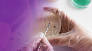 blog_Antimicrobial-resistance