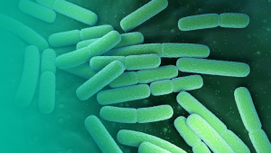 card_FoodSafety_blog