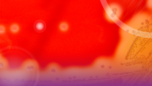 card_Sindrome-de-shock-toxico_blog