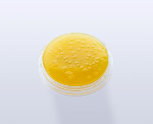 site_pl_1114-1